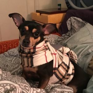 Meet your Posher, Desiree